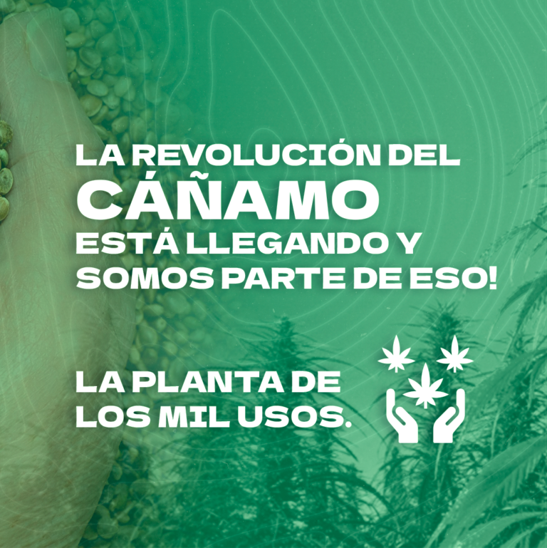 Cáñamo Industria La Planta De Los Mil Usos Anfibio Semillas