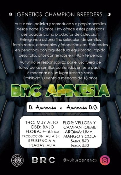 BRC Amnesia - Imagen 3
