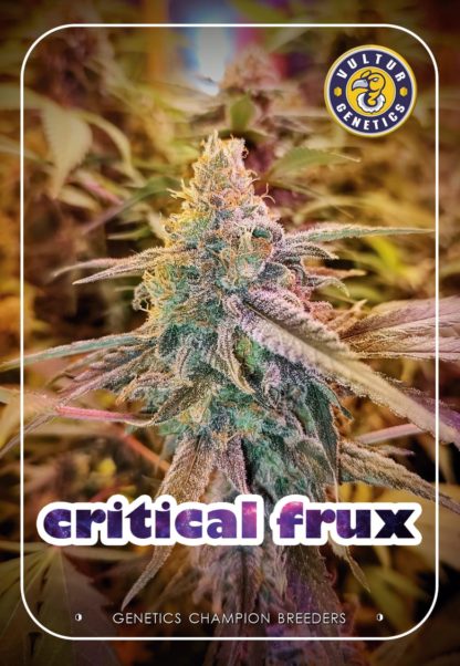 Critical Frux - Imagen 3