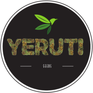Yeruti Seeds