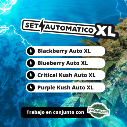Set Automático XL Seed Mix - Imagen 2