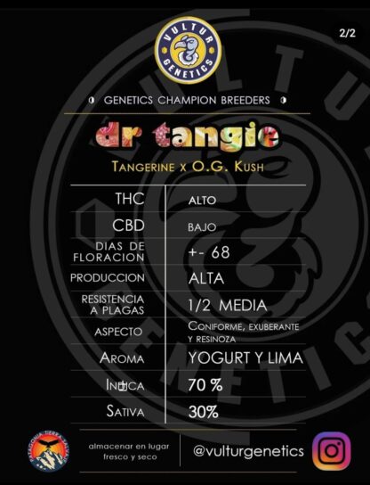 Dr. Tangie - Imagen 2