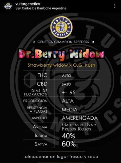 Dr. Berry Widow - Imagen 3