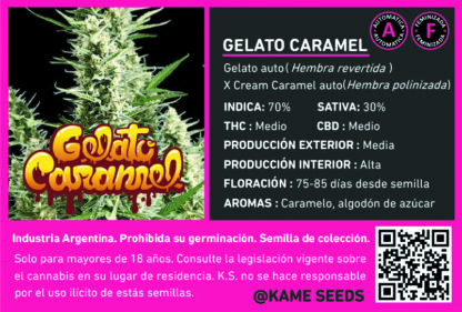 Gelato Caramel - Imagen 2