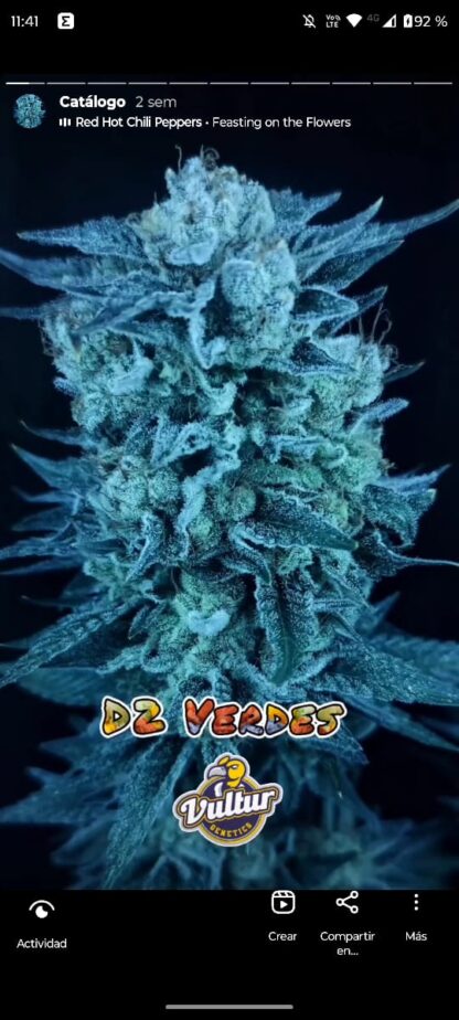 D2 Verdes - Imagen 2