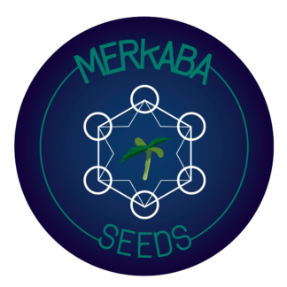Merkaba Seeds