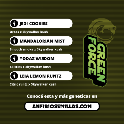 Green Force SeedMix AUTOMÁTICO V2 - Imagen 7