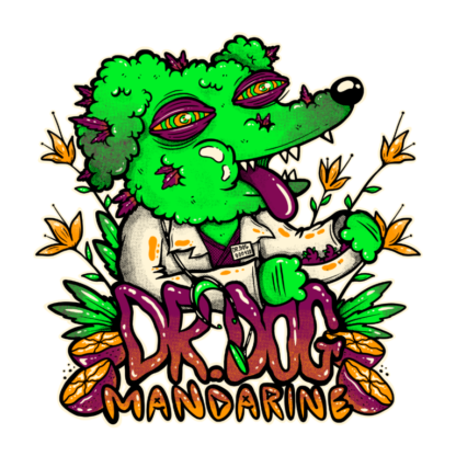 Dr. Dog Mandarine - Imagen 2