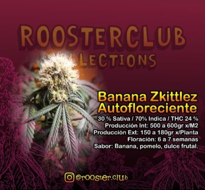 Banana Zkittlez - Imagen 2